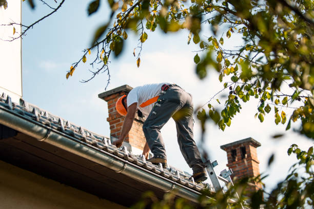 Best Roof Gutter Cleaning  in Hamilton College, NY