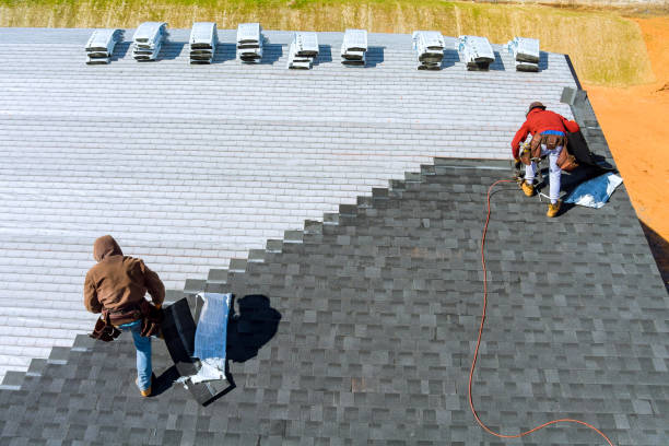 Sealant for Roof in Hamilton College, NY