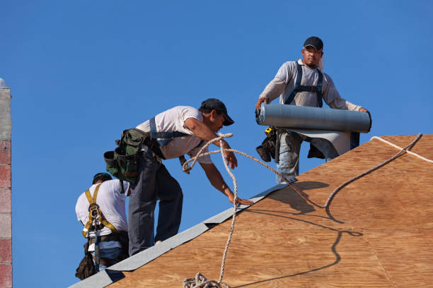Best Local Roofing Companies  in Hamilton College, NY